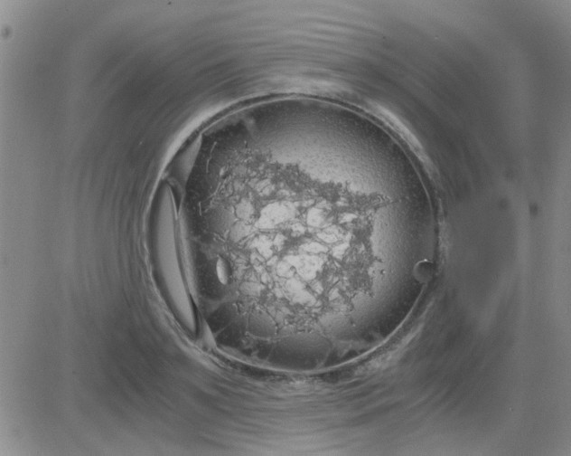 X0000084010891200703022028