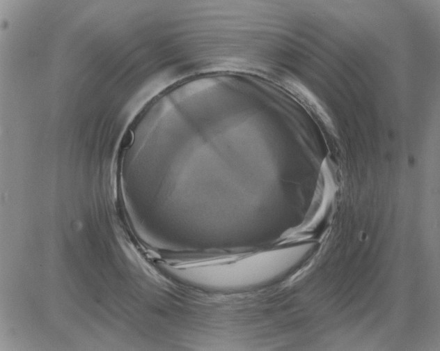 X0000084010892200703022028