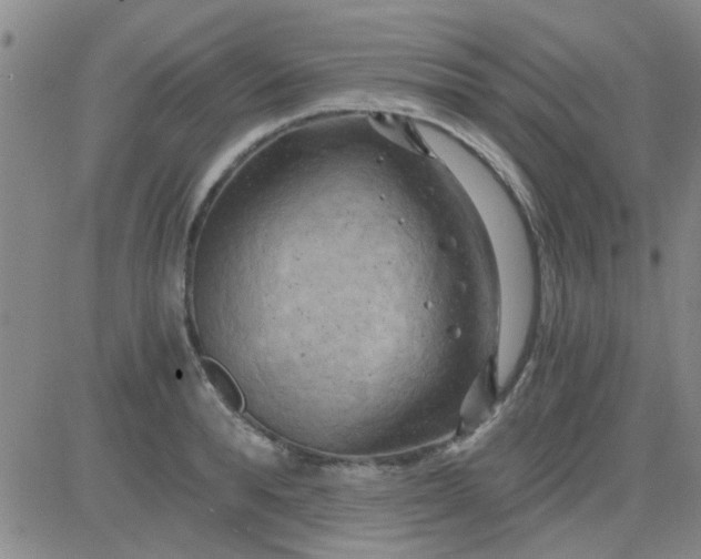 X0000084010896200703022028