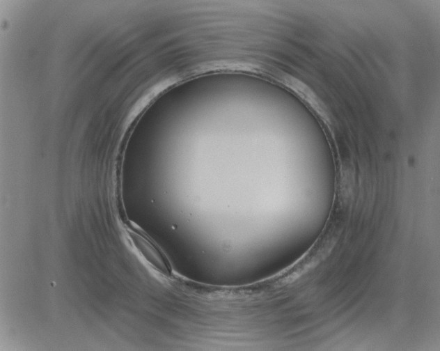 X0000084010898200703022028