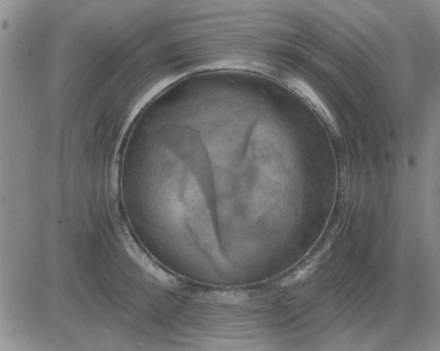 X0000084010900200703022028