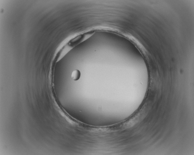 X0000084010902200703022028