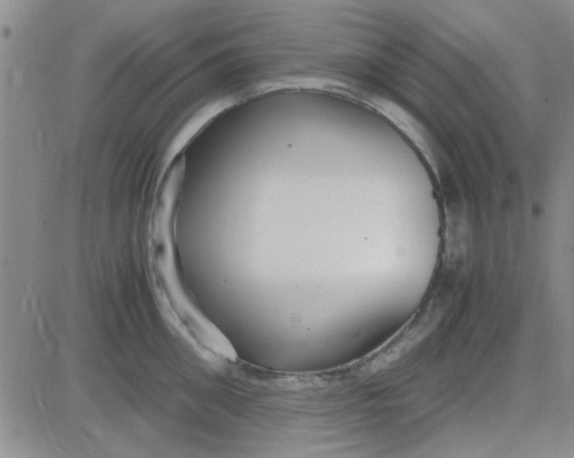 X0000084010906200703022028