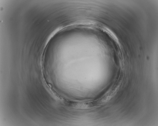 X0000084010907200703022028