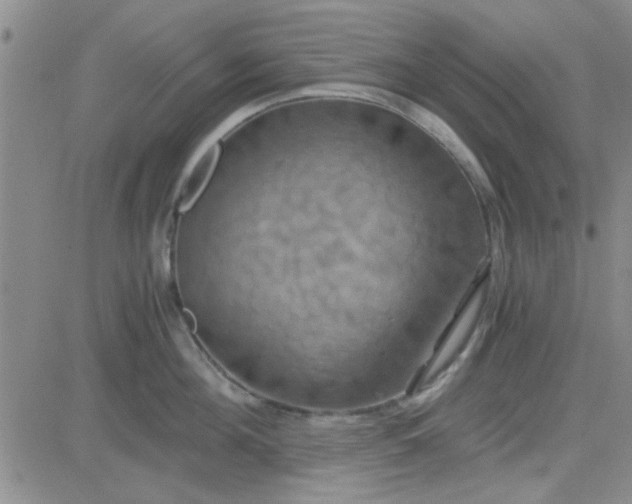 X0000084010908200703022028