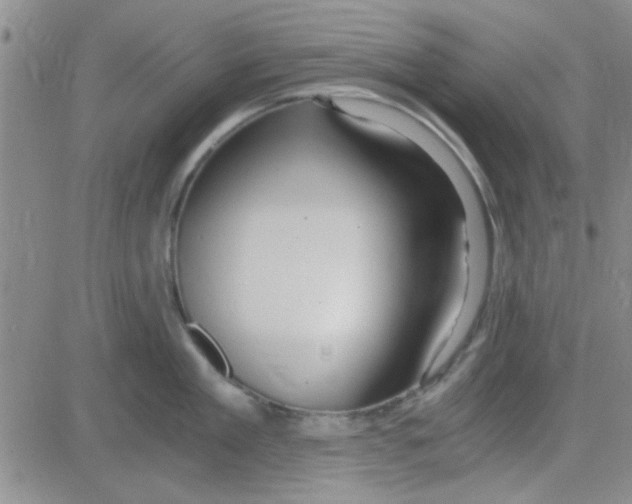 X0000084010909200703022028