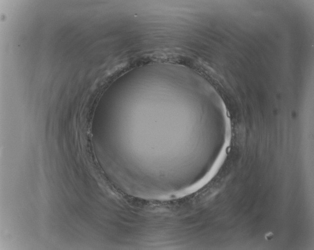 X0000084010913200703022027