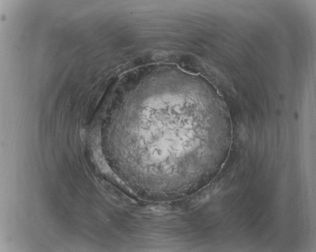 X0000084010914200703022027