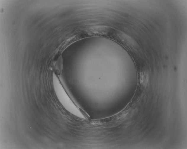 X0000084010915200703022027