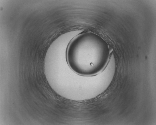 X0000084010916200703022027