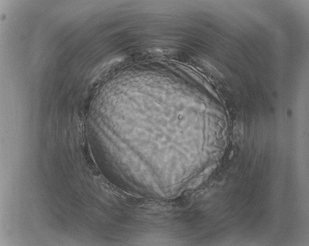 X0000084010917200703022027