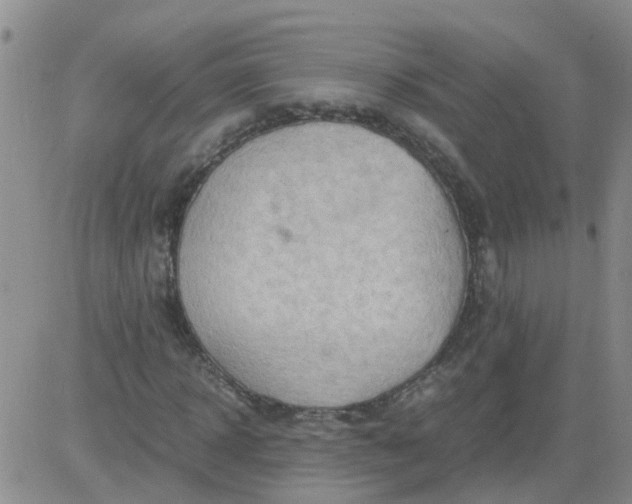 X0000084010918200703022027