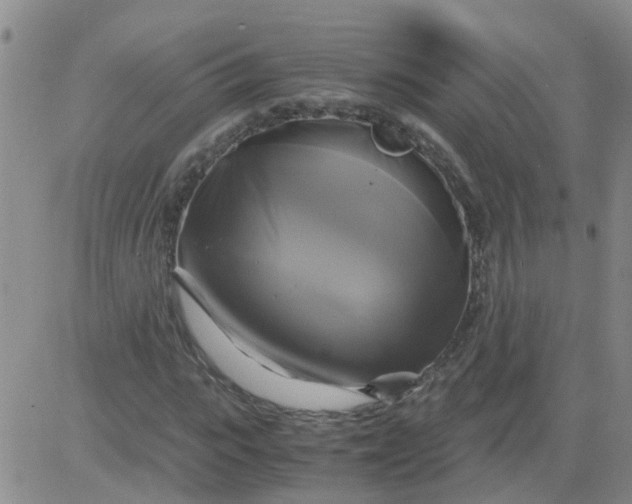 X0000084010919200703022027