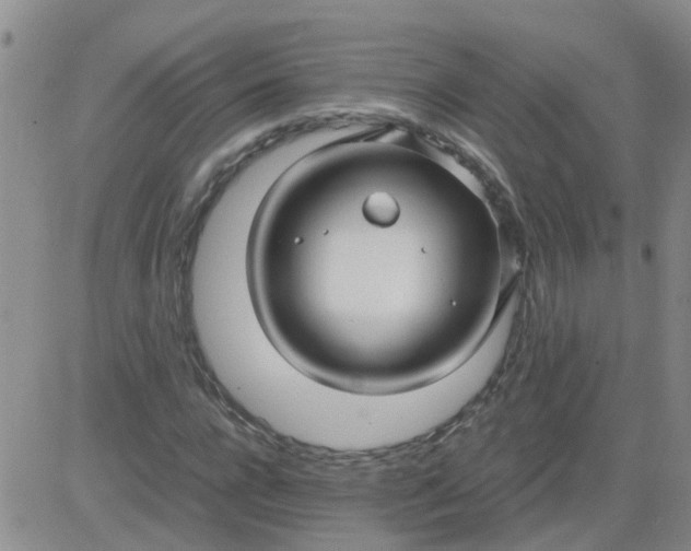 X0000084010920200703022027