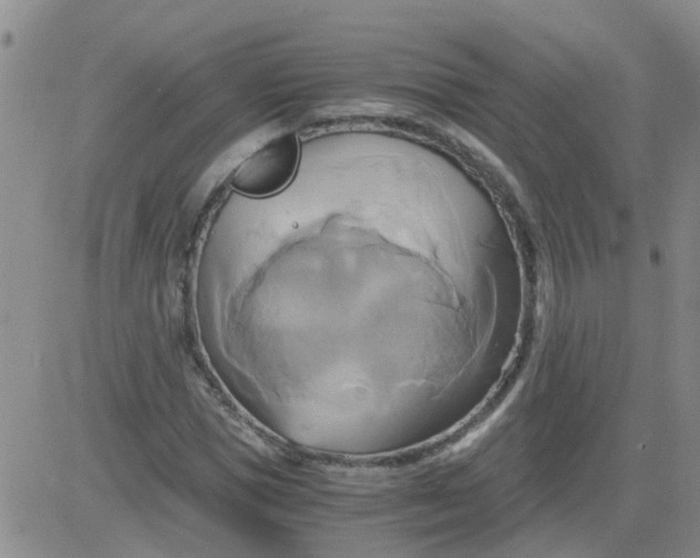 X0000084010921200703022027