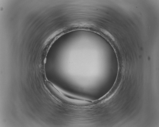 X0000084010922200703022027