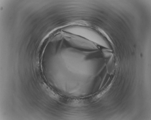 X0000084010923200703022027