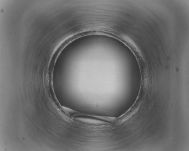 X0000084010924200703022027