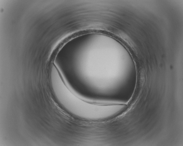 X0000084010926200703022027