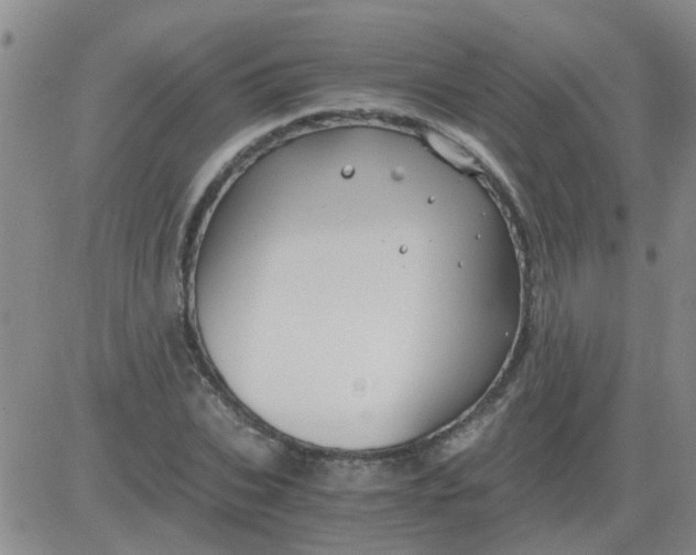 X0000084010927200703022027