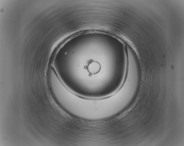 X0000084010928200703022027