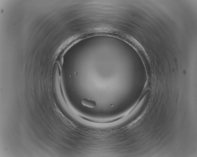 X0000084010930200703022027