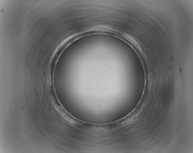 X0000084010931200703022027