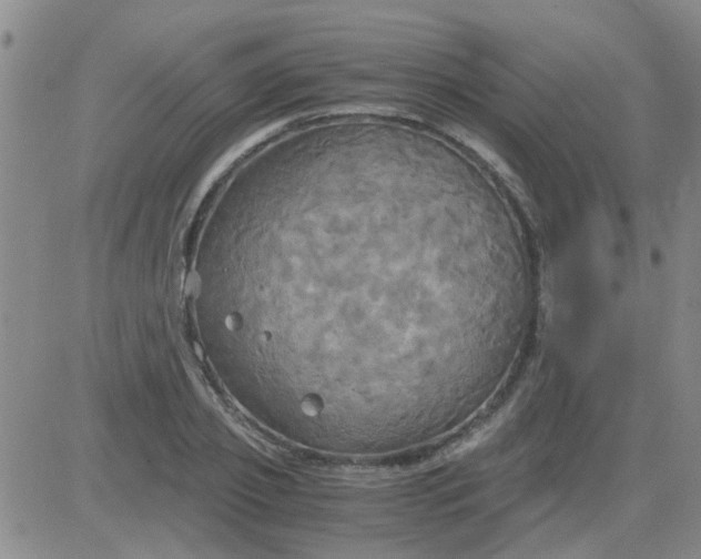 X0000084010933200703022027