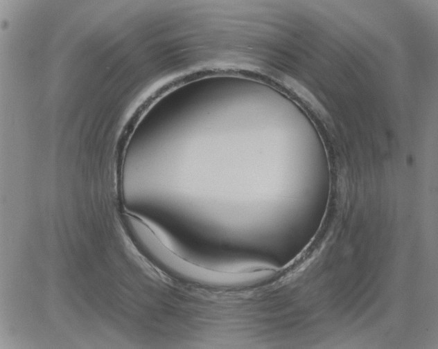 X0000084010934200703022027