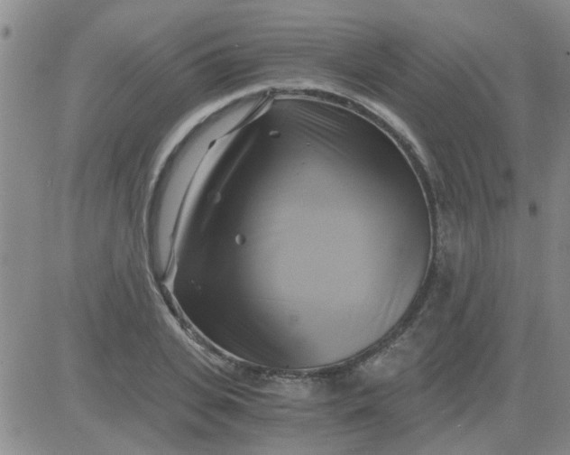 X0000084010935200703022027