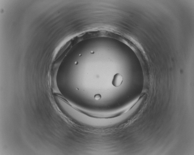 X0000084010936200703022027