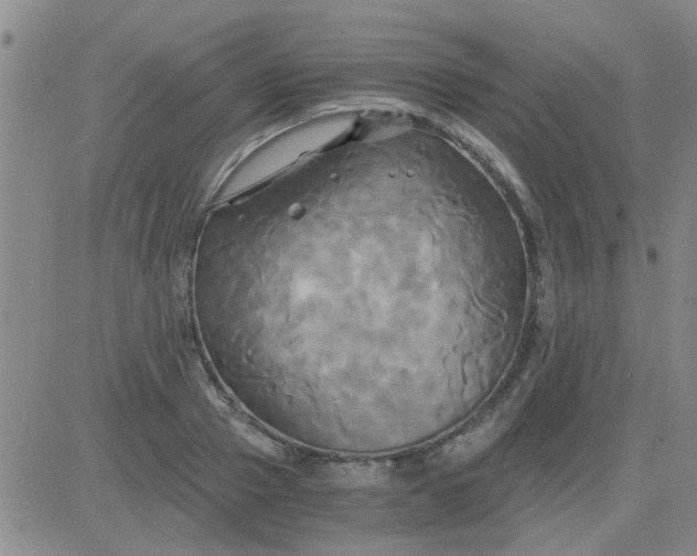 X0000084010937200703022027