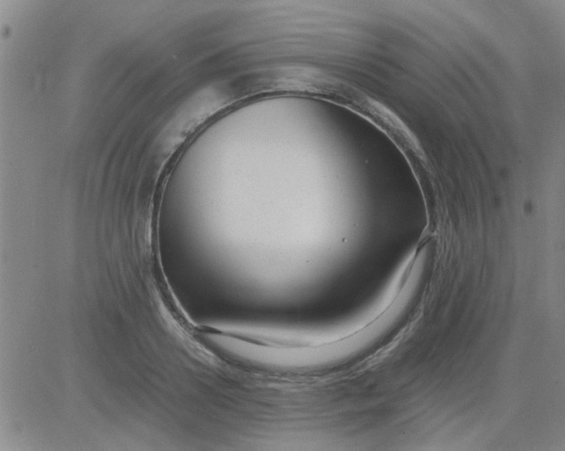 X0000084010938200703022027