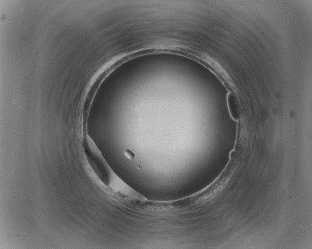 X0000084010939200703022027