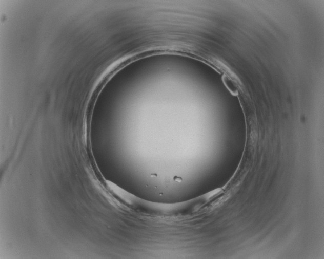 X0000084010940200703022027