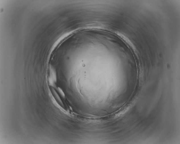 X0000084010941200703022027