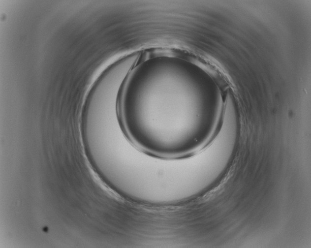 X0000084010942200703022027