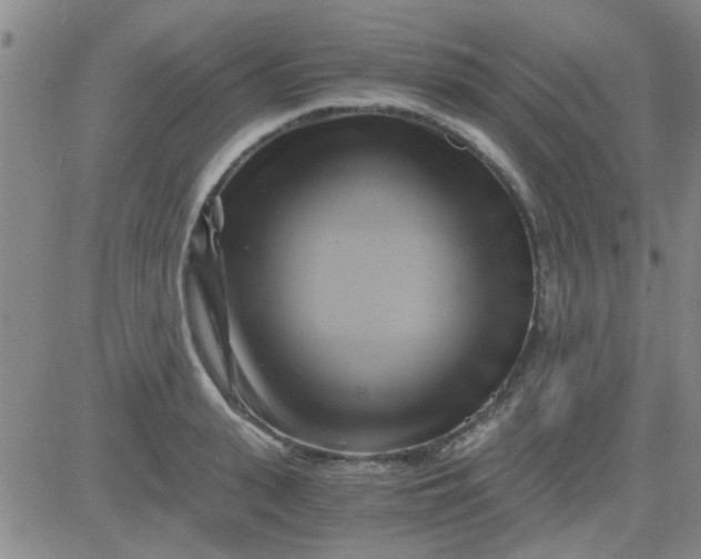 X0000084010943200703022027