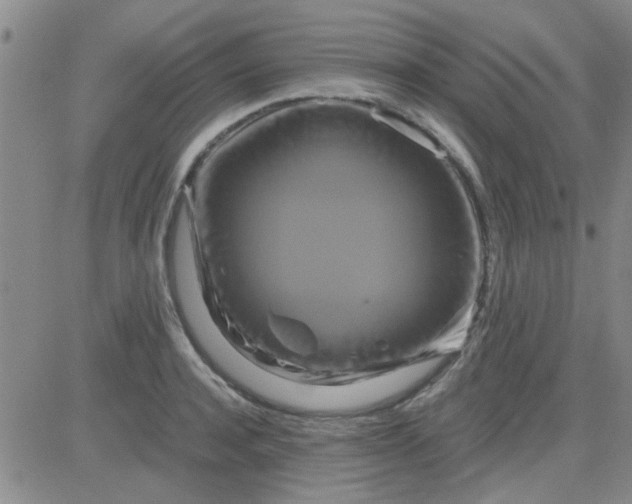 X0000084010944200703022027