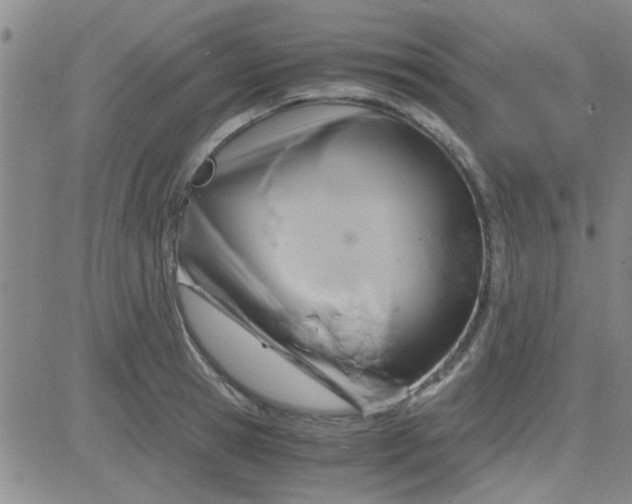 X0000084010945200703022027