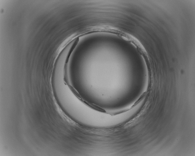 X0000084010946200703022028