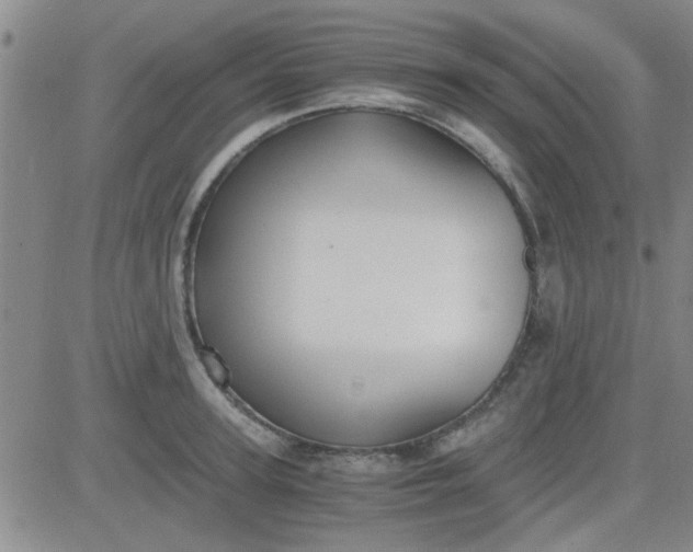 X0000084010947200703022028