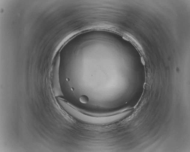 X0000084010948200703022028