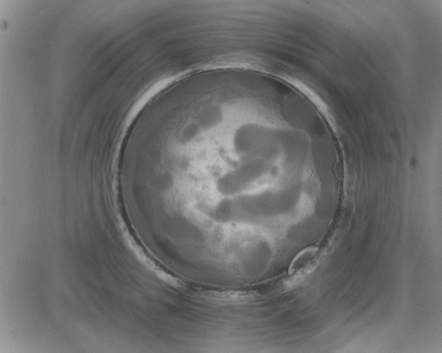 X0000084010949200703022028