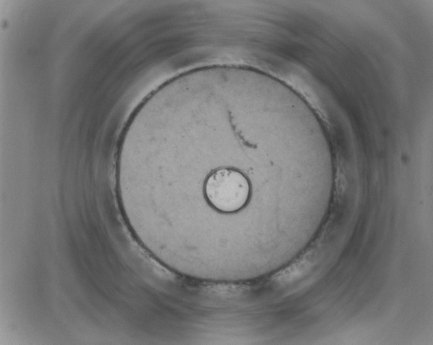 X0000084010950200703022028