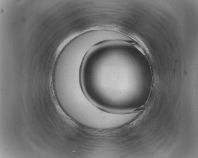 X0000084010952200703022028