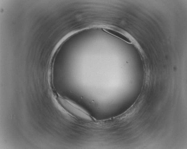 X0000084010955200703022028