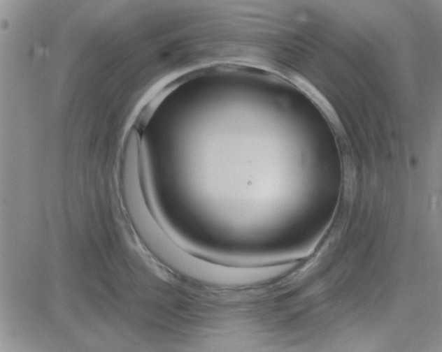 X0000084010956200703022028