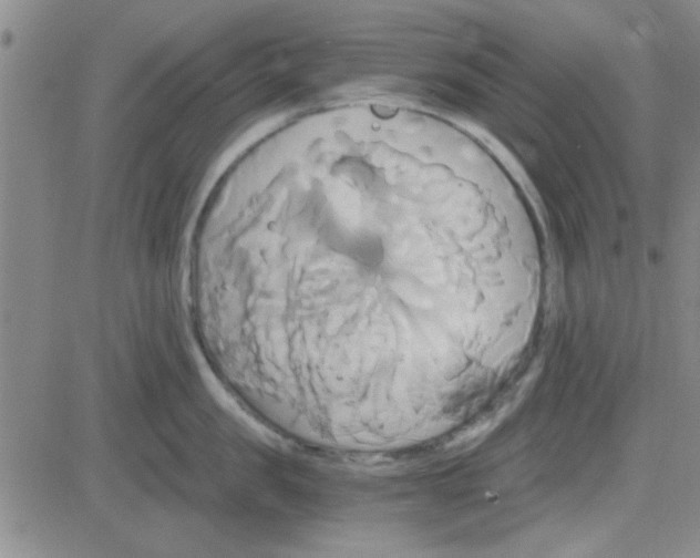 X0000084010957200703022028