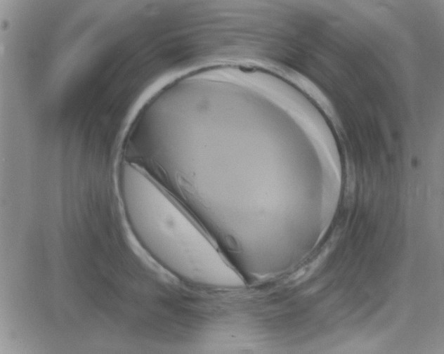 X0000084010958200703022028